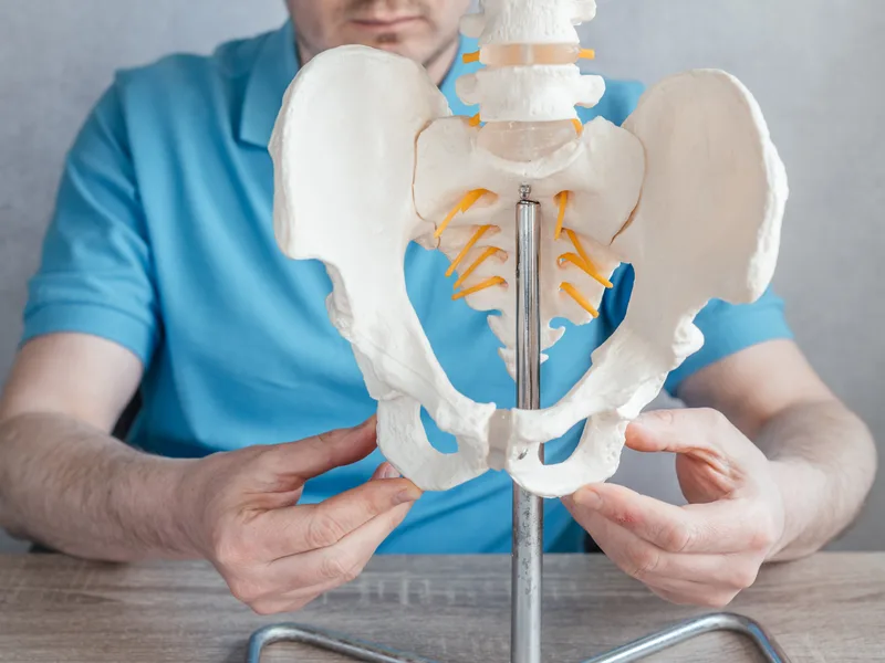 How Gonstead Technique works at Next Level Chiropractic & Wellness