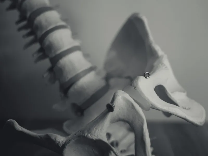 X-Rays at Next Level Chiropractic & Wellness in Caro